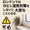 ロンドンの住宅で発生したカビと湿気の例。結露した窓と壁の黒カビに対する注意喚起。