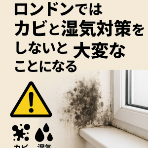 ロンドンの住宅で発生したカビと湿気の例。結露した窓と壁の黒カビに対する注意喚起。