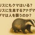 イギリスのアナグマを描いたイラストと、記事タイトルの日本語テキストが入った横長アイキャッチ画像