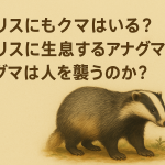 イギリスのアナグマを描いたイラストと、記事タイトルの日本語テキストが入った横長アイキャッチ画像