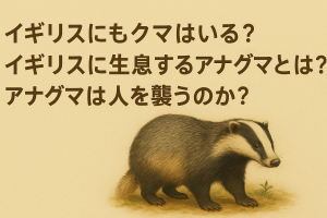 イギリスのアナグマを描いたイラストと、記事タイトルの日本語テキストが入った横長アイキャッチ画像